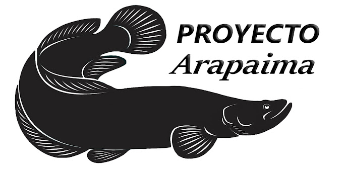 arapaima logo